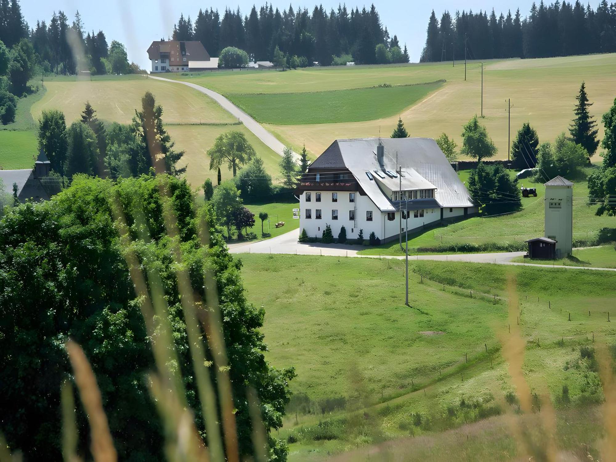 Gasthaus-Pension Zum Loewen Grafenhausen Εξωτερικό φωτογραφία