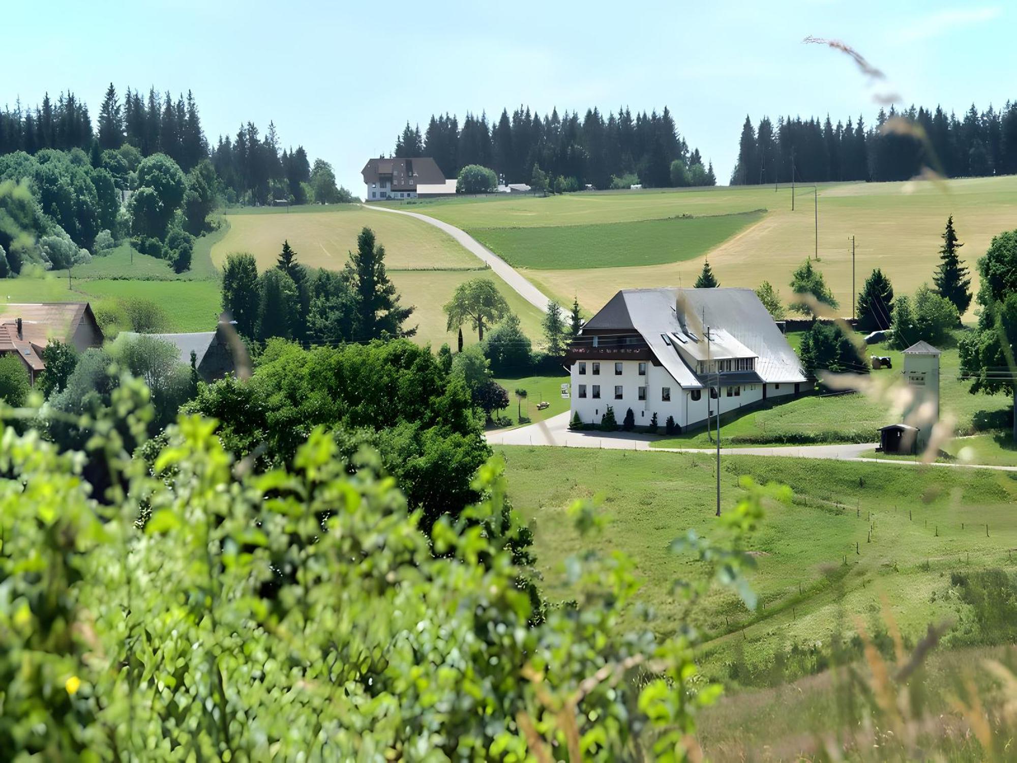 Gasthaus-Pension Zum Loewen Grafenhausen Εξωτερικό φωτογραφία