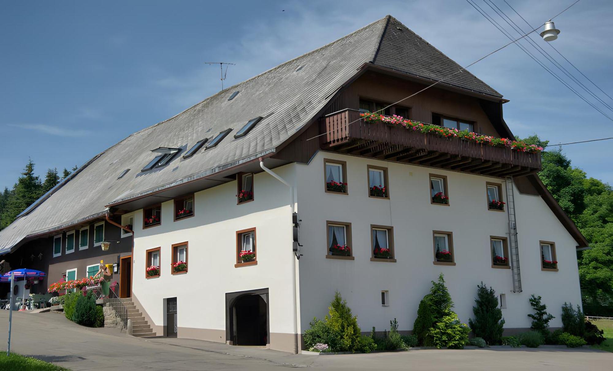 Gasthaus-Pension Zum Loewen Grafenhausen Εξωτερικό φωτογραφία