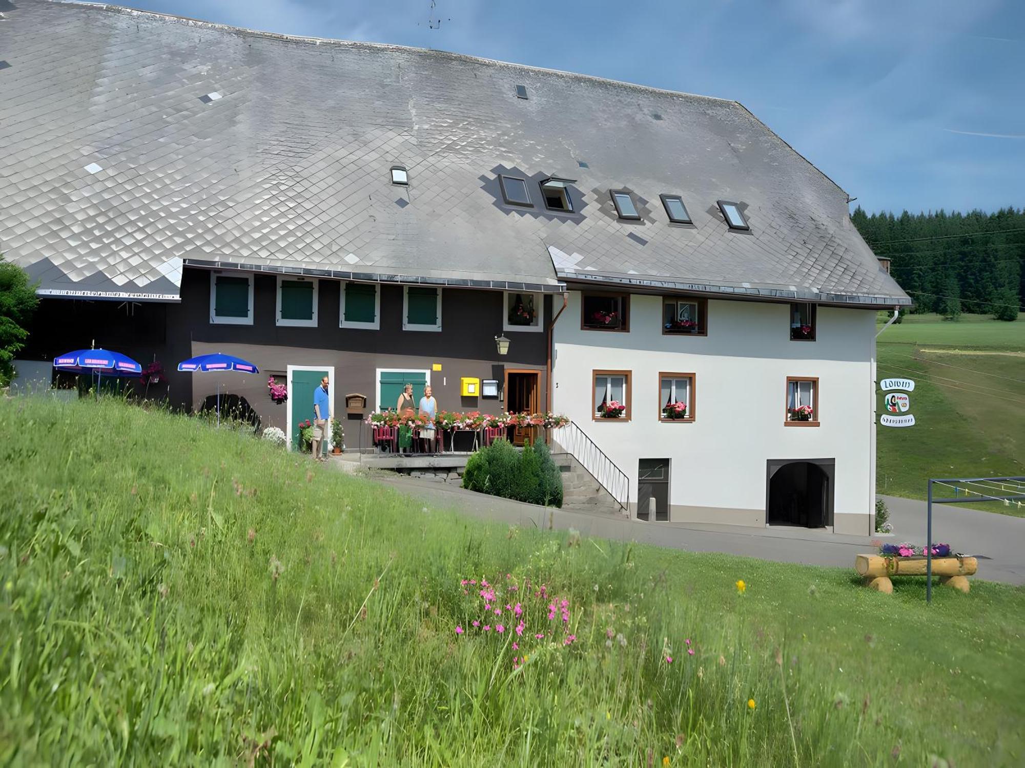 Gasthaus-Pension Zum Loewen Grafenhausen Εξωτερικό φωτογραφία